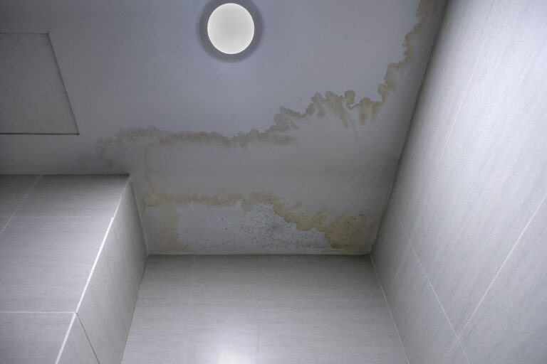 Ceiling with brown water stains spreading from the corner under a circular ceiling light.
